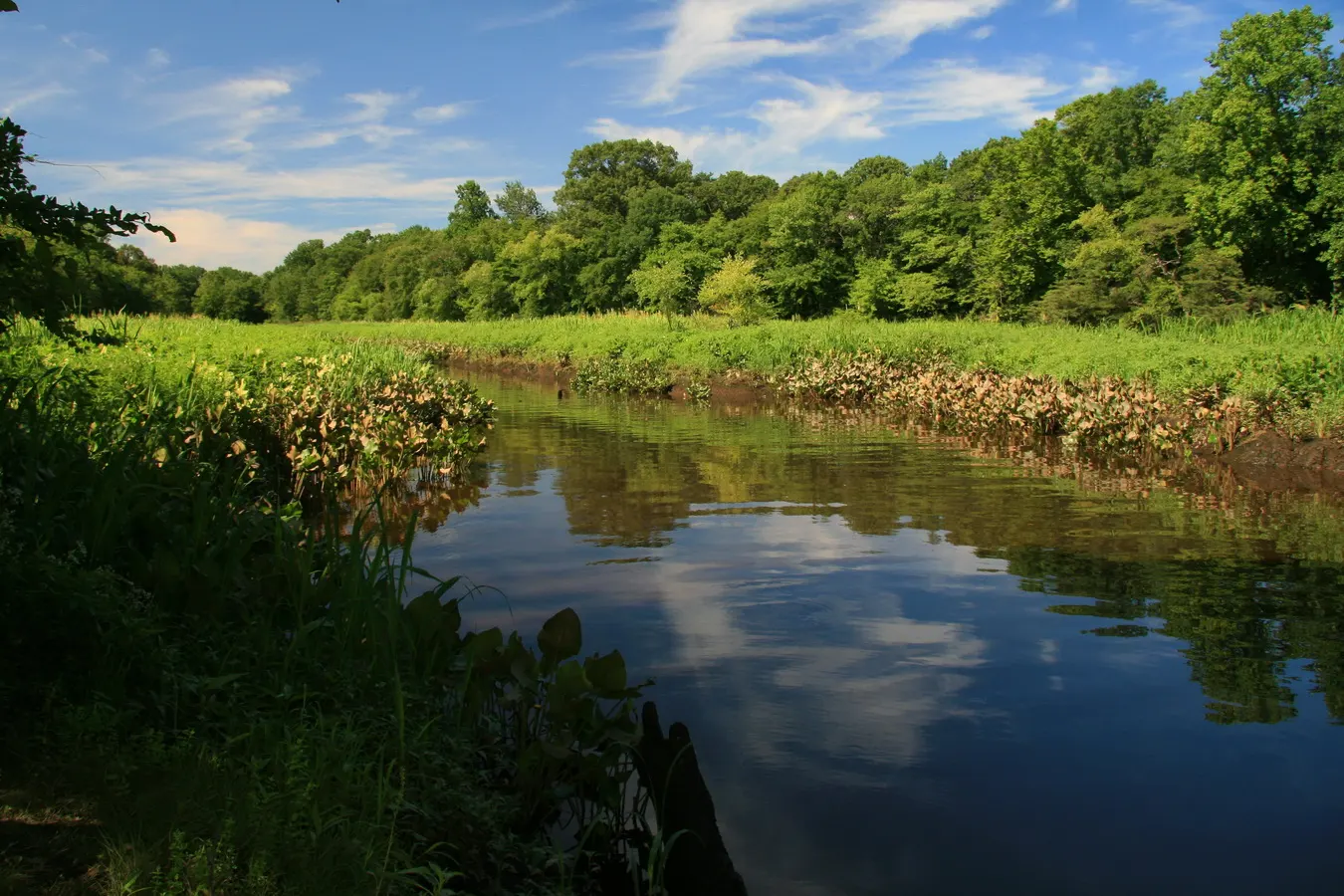 Rancocas Creek